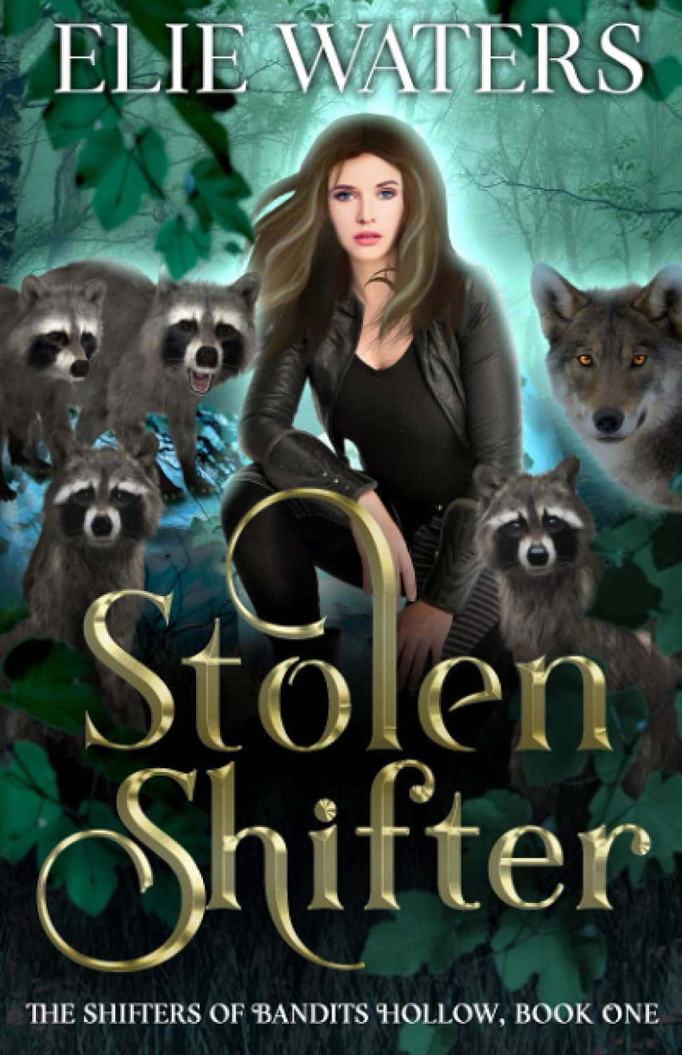 Stolen Shifter (The Shifters of Bandits Hollow) poster
