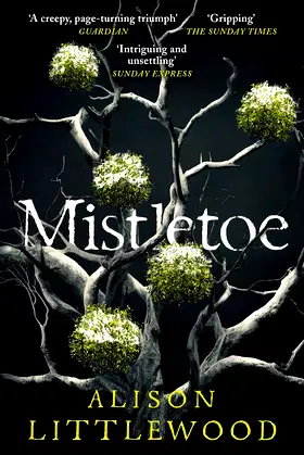 Mistletoe: 'The perfect read for frosty nights' HEAT poster