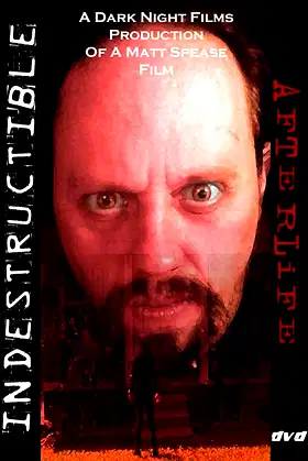 Indestructible: Afterlife poster