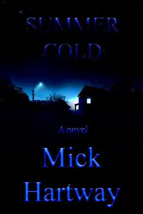 SUMMER COLD poster