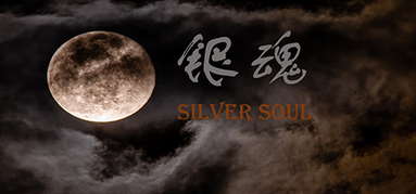 银魂：Silver Soul capsule