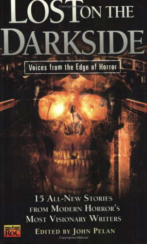 Lost on the Darkside:: Voices From The Edge of Horror (Darkside #4) poster