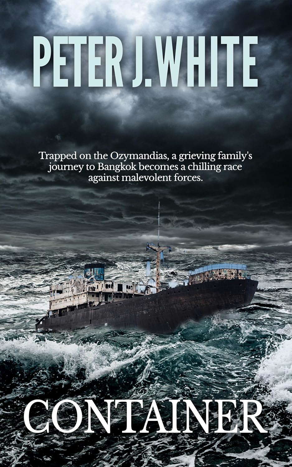 Container: A Journey Into Darkness poster