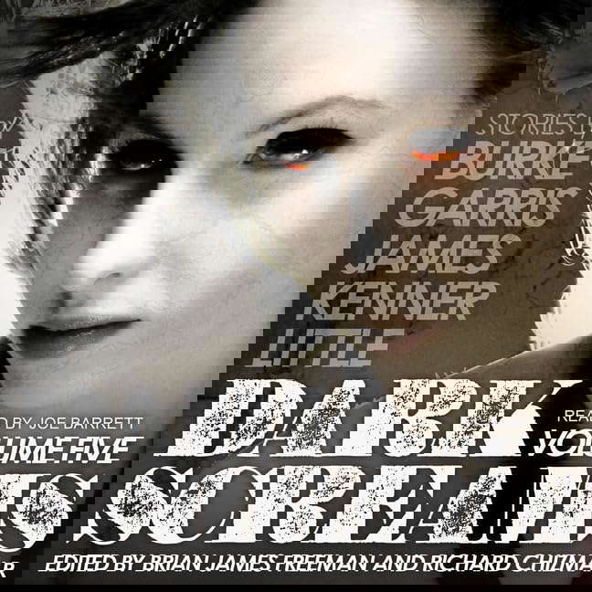 Dark Screams Lib/E: Volume Five poster