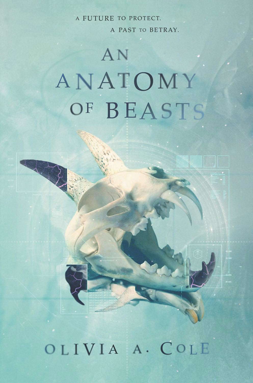 An Anatomy of Beasts poster