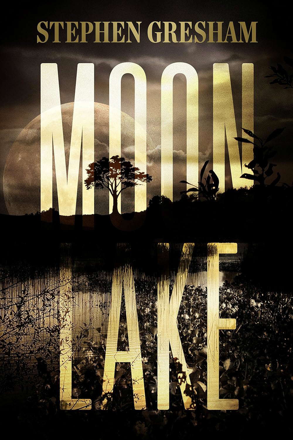 Moon Lake poster