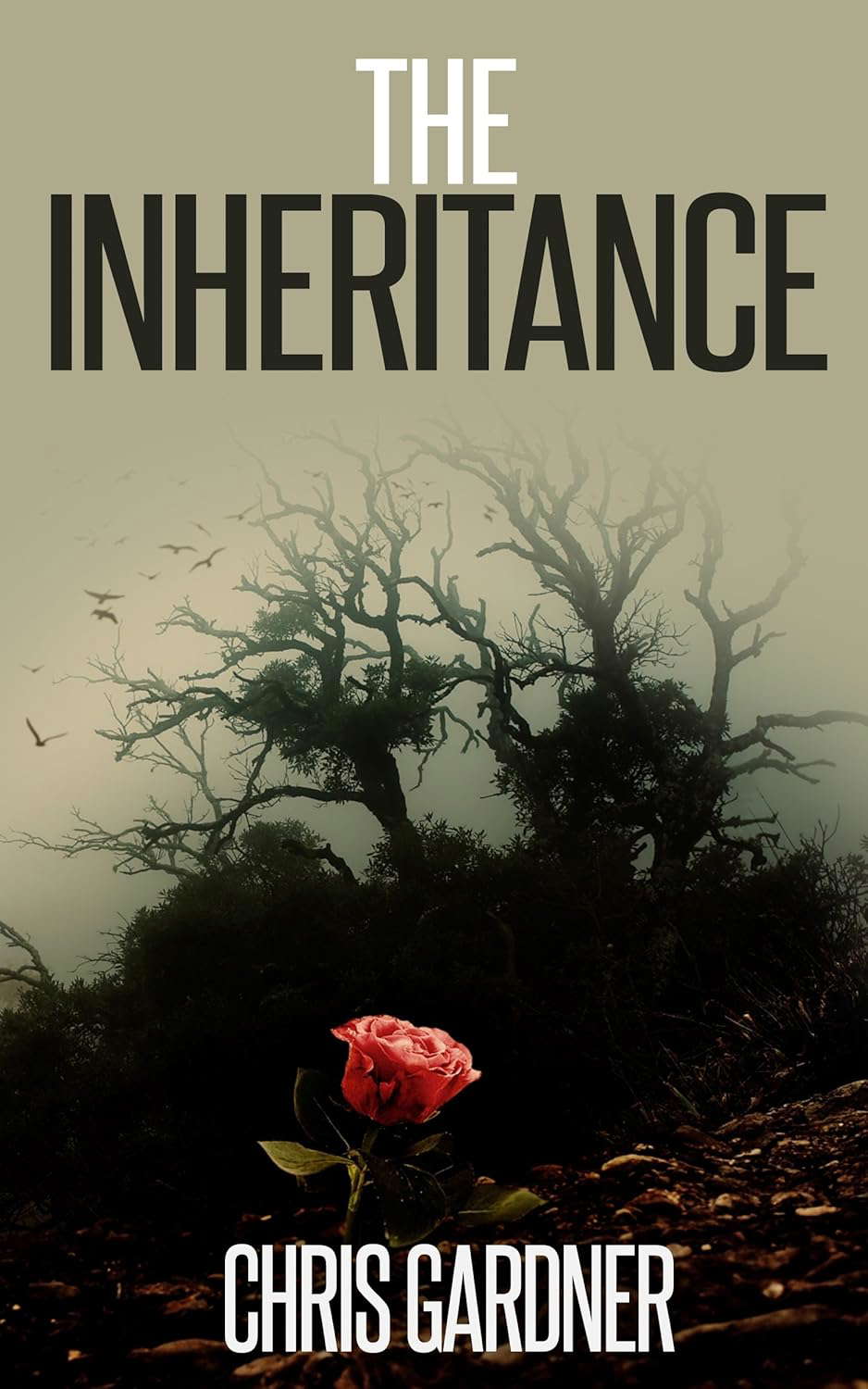 The Inheritance poster