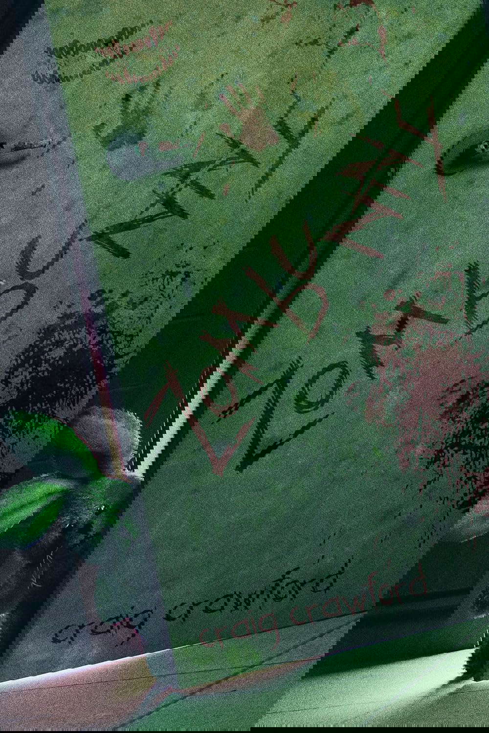 Zombunny poster