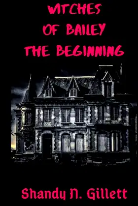 Witches of Bailey: The Beginning poster