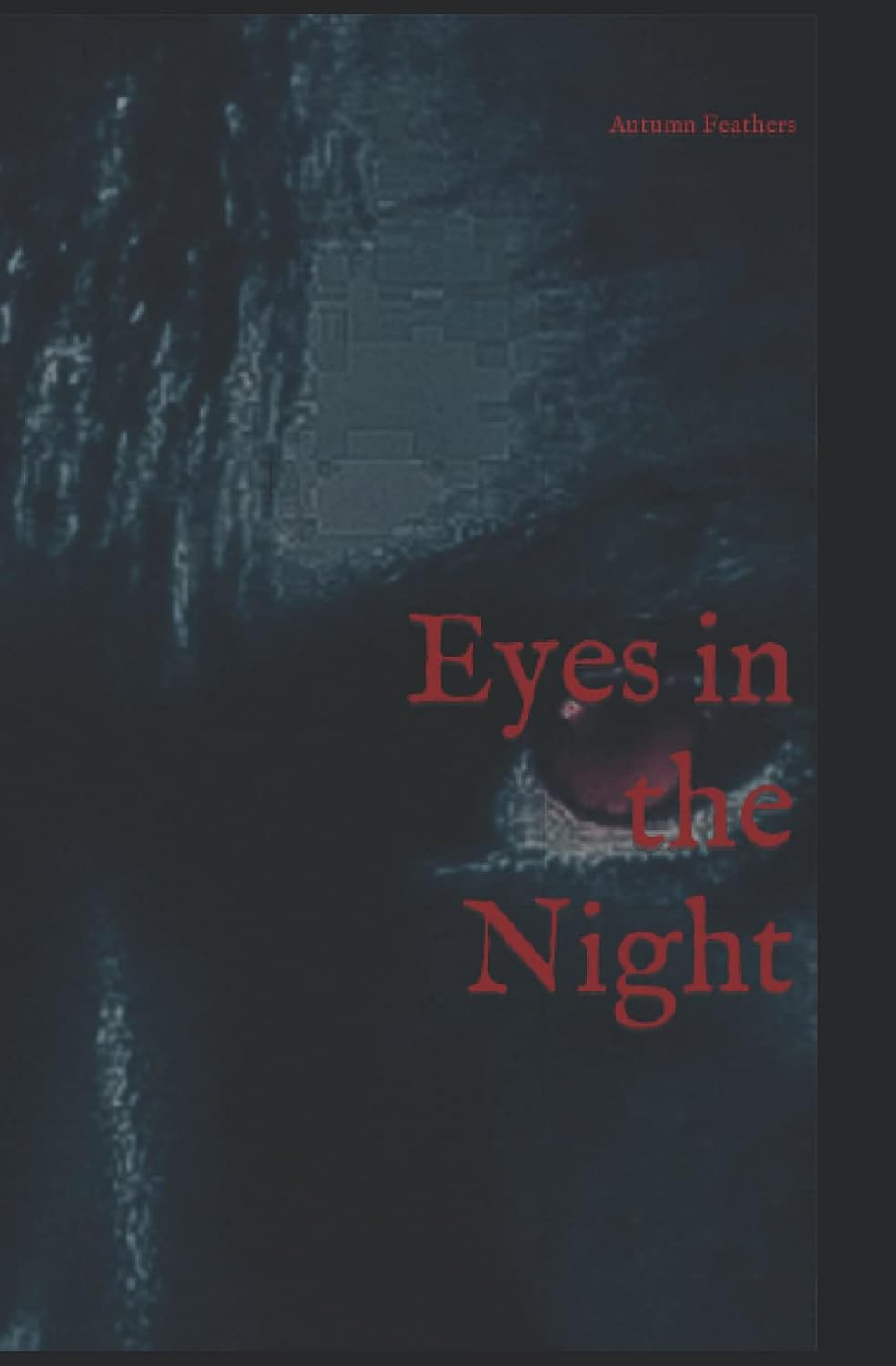 Eyes in the Night poster