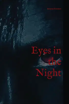Eyes in the Night poster