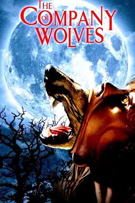 The Company of Wolves poster