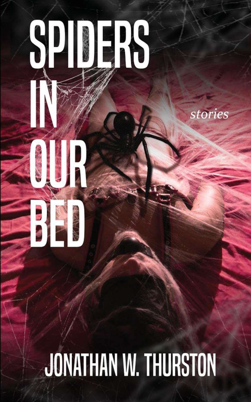 Spiders in our Bed poster