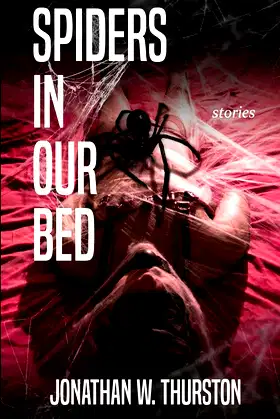 Spiders in our Bed poster