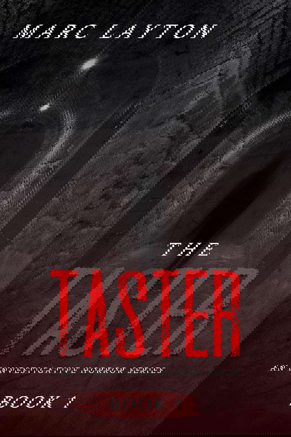 The Taster (Investigating Horror Book 1) poster