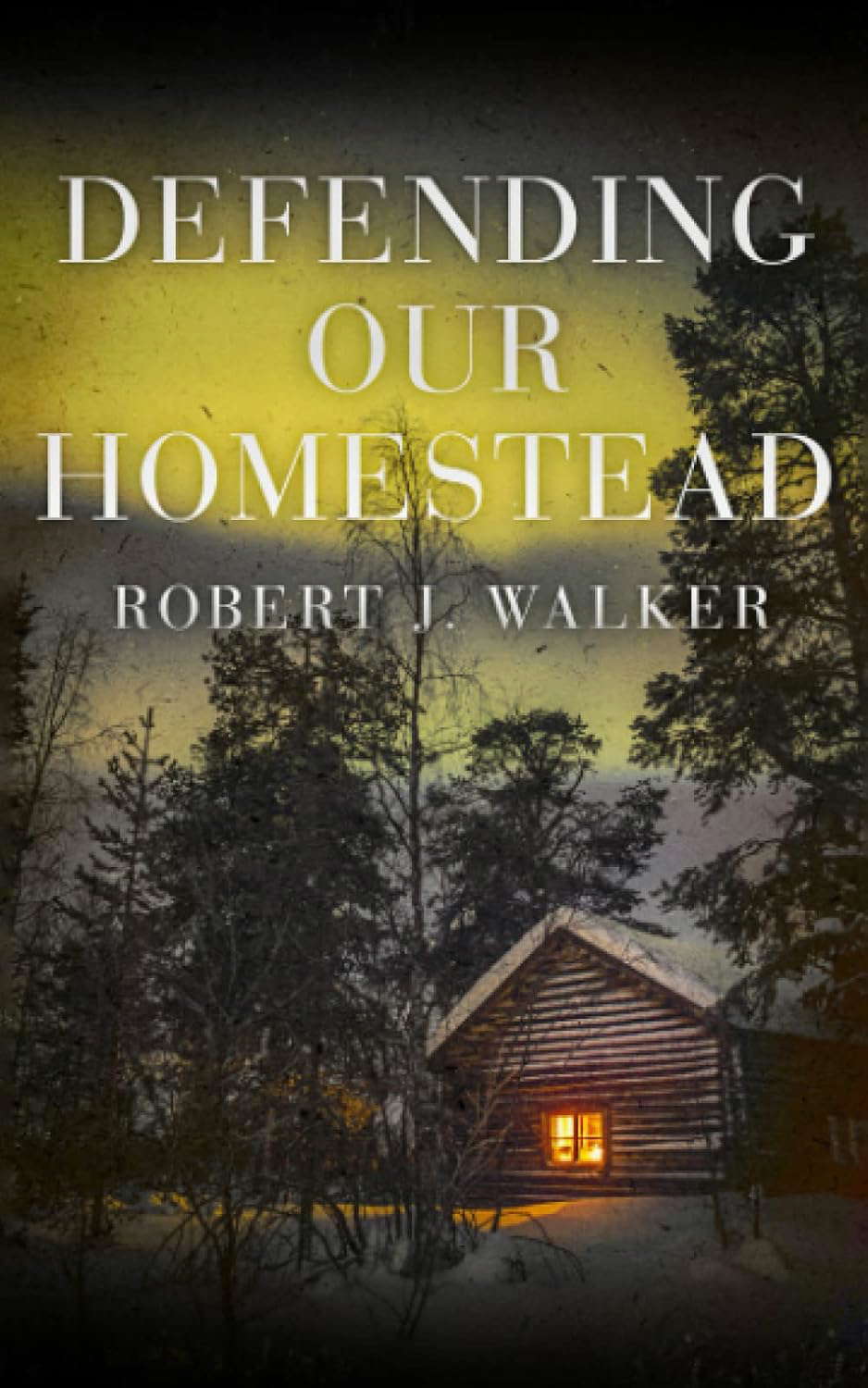 Defending our Homestead (EMP Survival in a Powerless World) poster