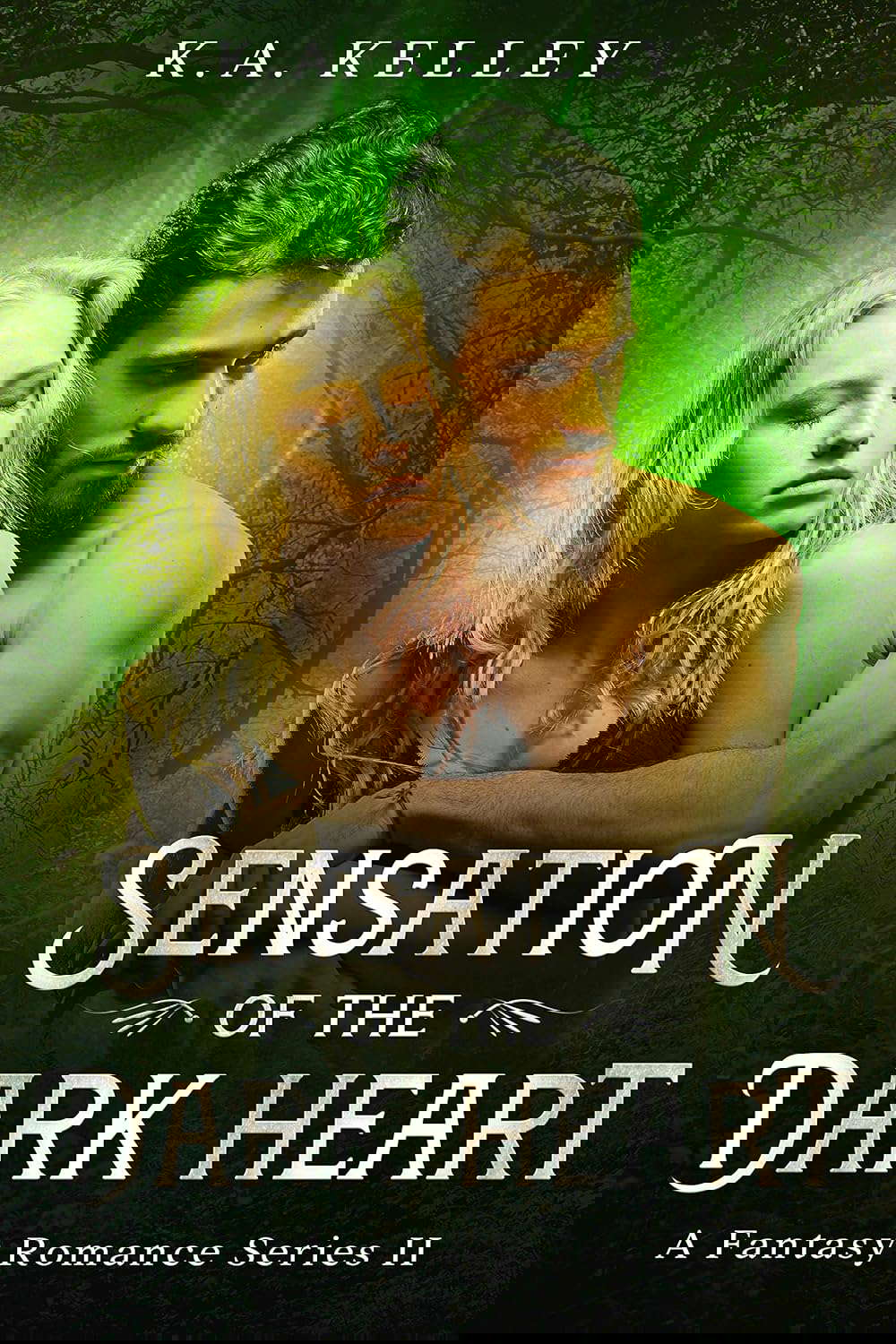 Sensation of the Dark Heart: Book 2: Fantasy Romance Series poster