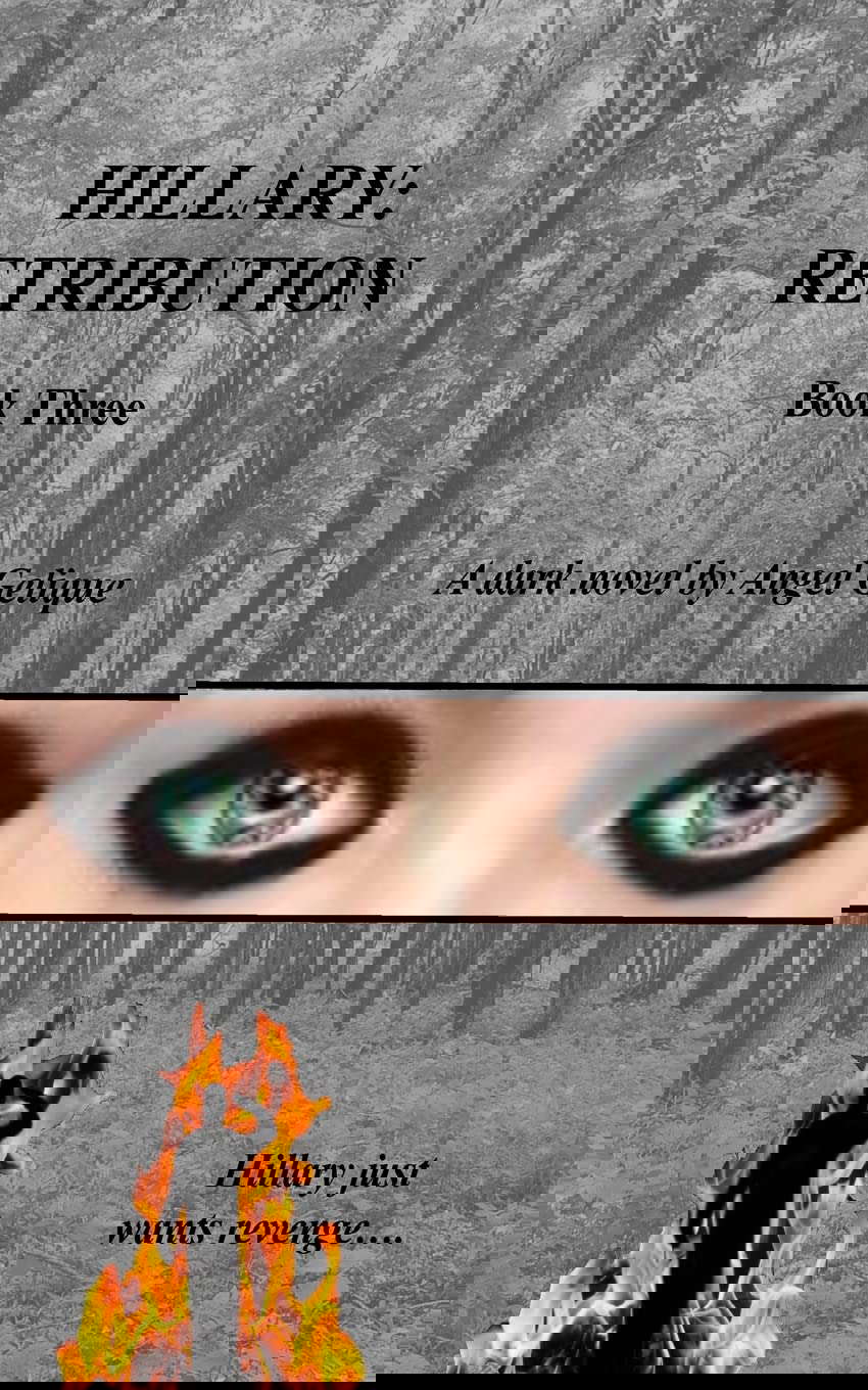 Hillary: Retribution (Hillary Series) poster