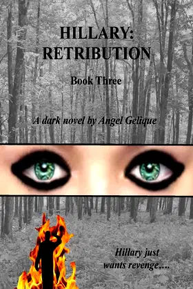 Hillary: Retribution (Hillary Series) poster
