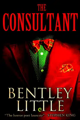 The Consultant poster