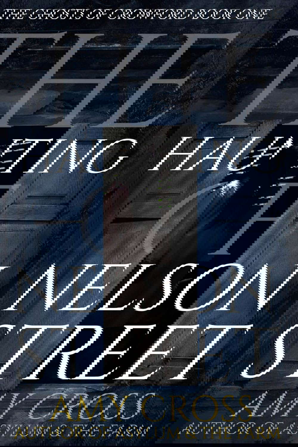 The Haunting of Nelson Street (The Ghosts of Crowford Book 1) poster