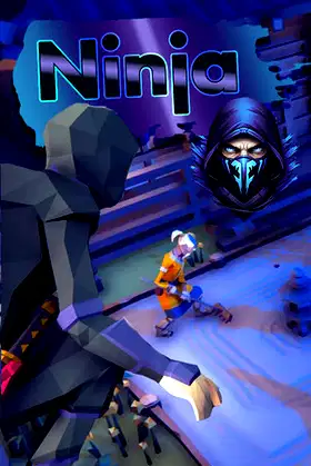 Ninja poster