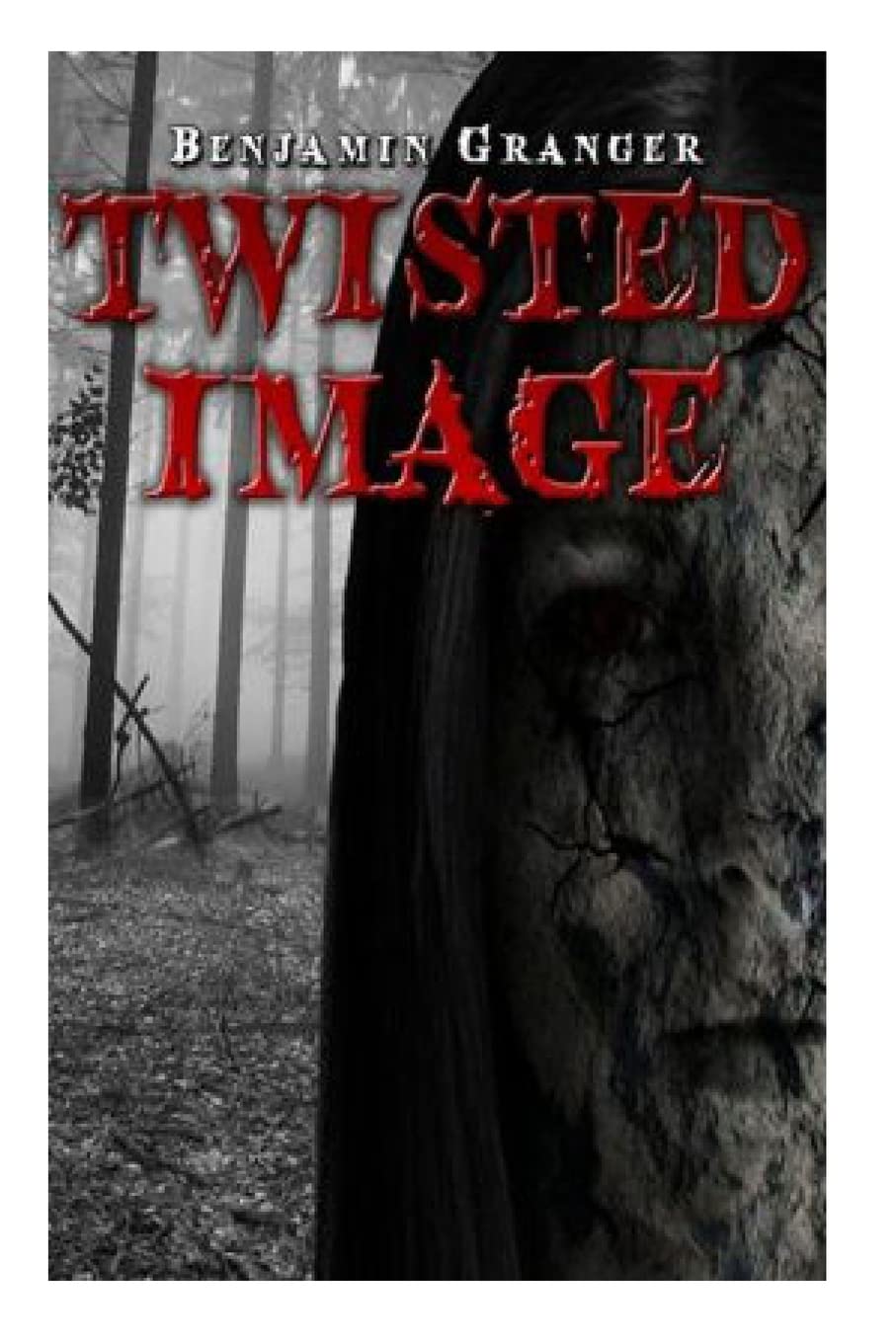 Twisted Image poster