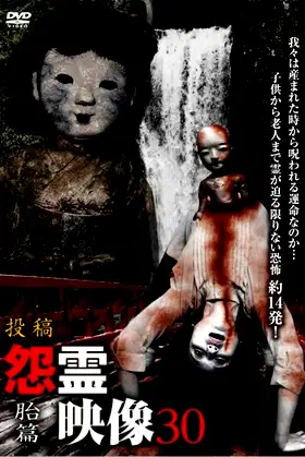 Posted Grudge Spirit Footage Vol.30: Embryo Edition poster