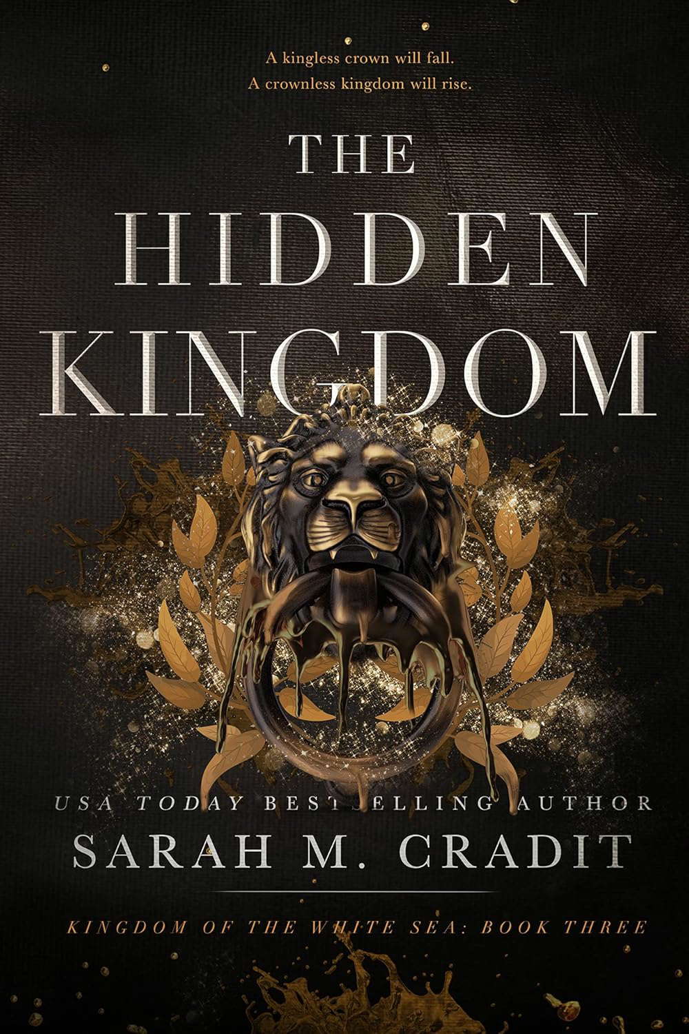 The Hidden Kingdom: Kingdom of the White Sea Book 3 poster