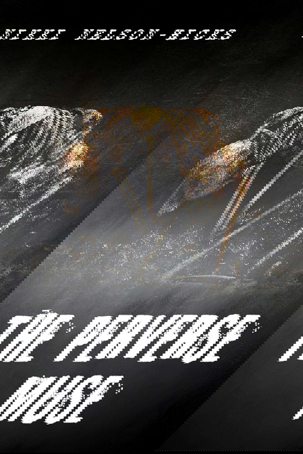 The Perverse Muse poster
