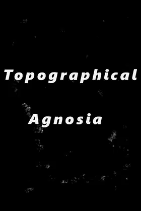 Topographical Agnosia poster
