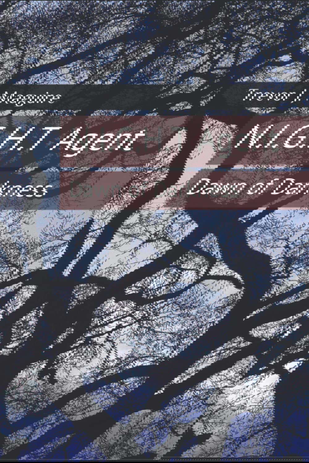N.I.G.H.T Agent: Dawn of Darkness poster