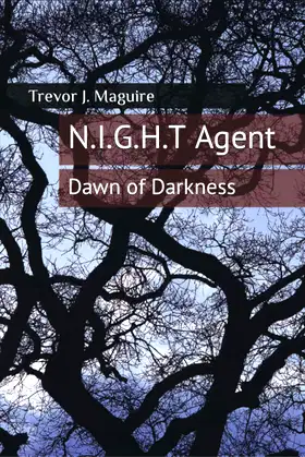 N.I.G.H.T Agent: Dawn of Darkness poster