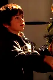 Holiday Spirit poster
