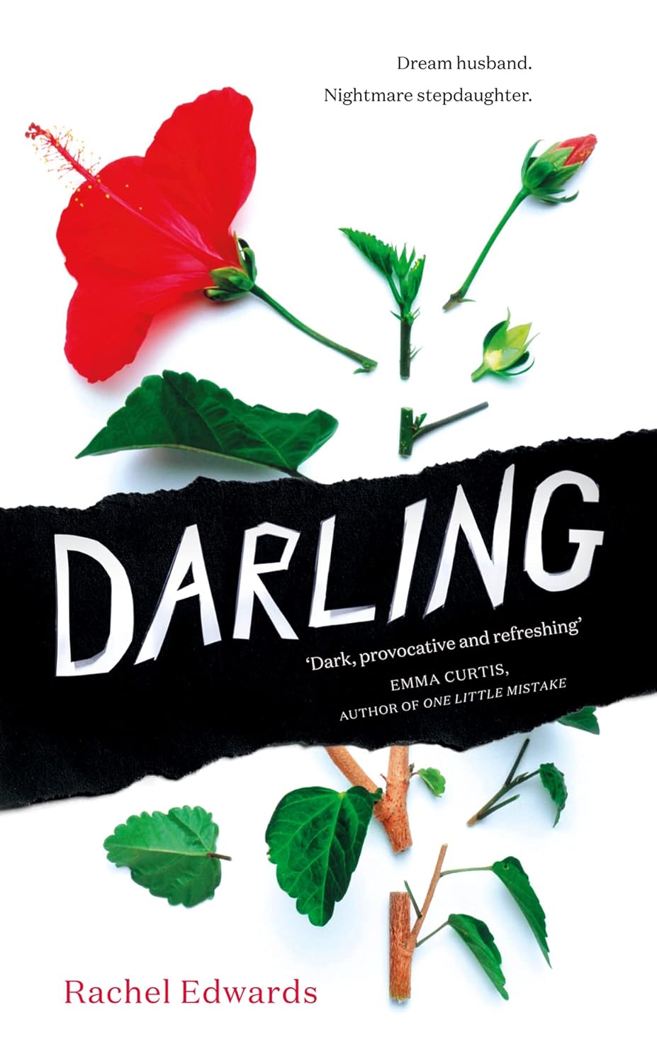 Darling: The Addictive Thriller with a Shocking Twist poster