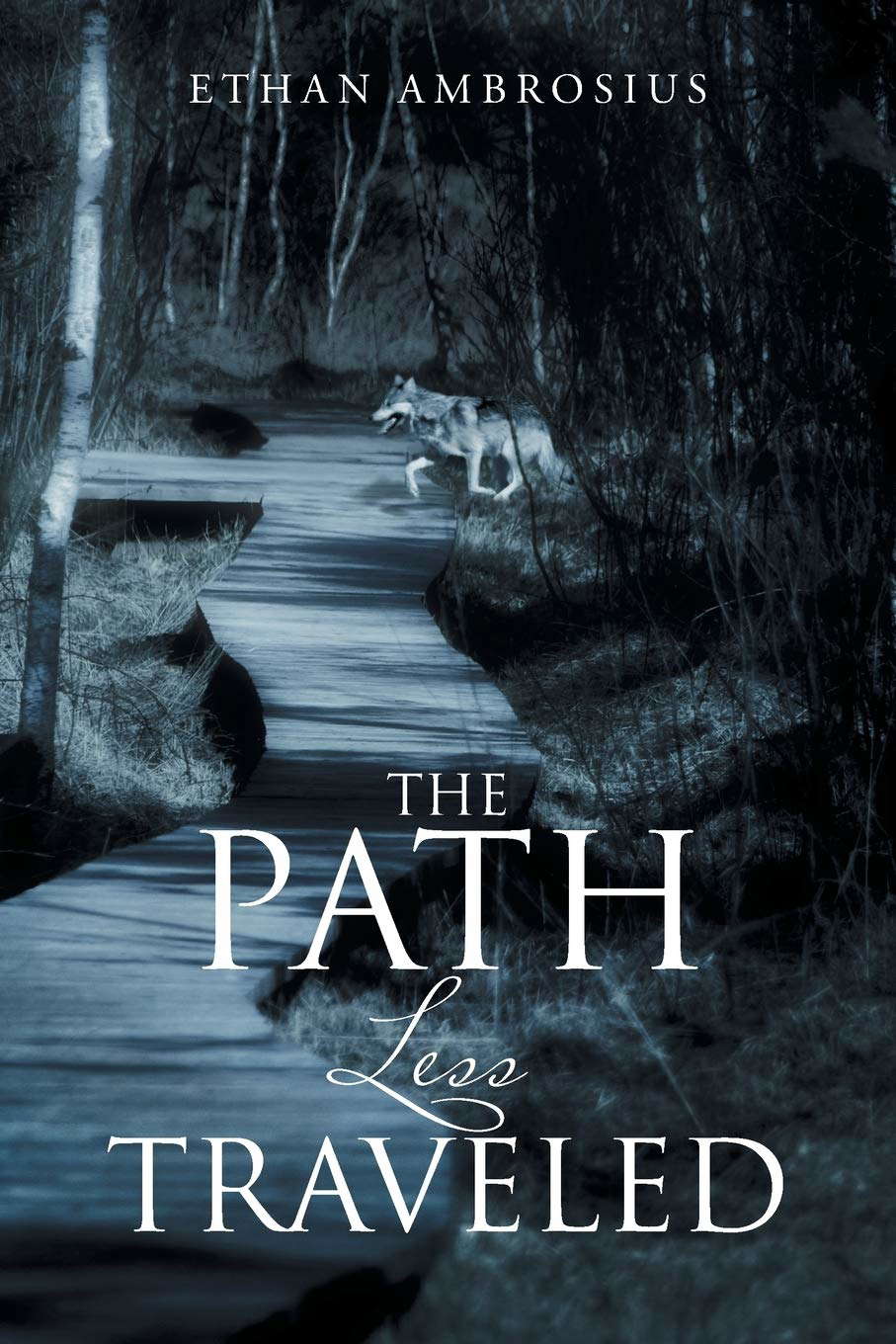 The Path Less Traveled poster