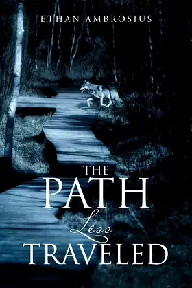 The Path Less Traveled poster