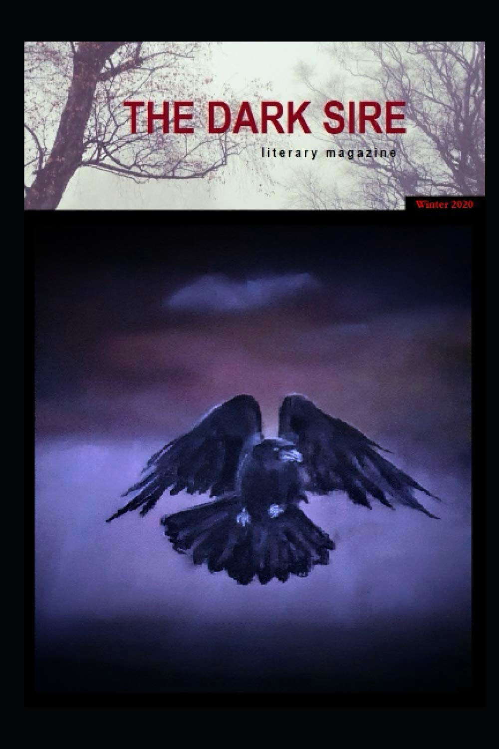 The Dark Sire: Issue 6 (Winter 2020) poster