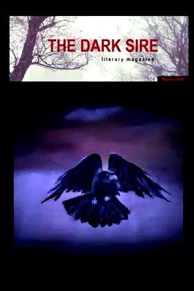 The Dark Sire: Issue 6 (Winter 2020) poster