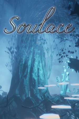 Soulace poster