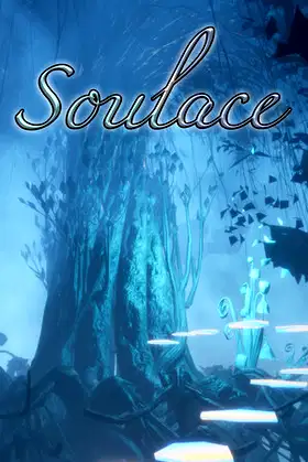 Soulace poster