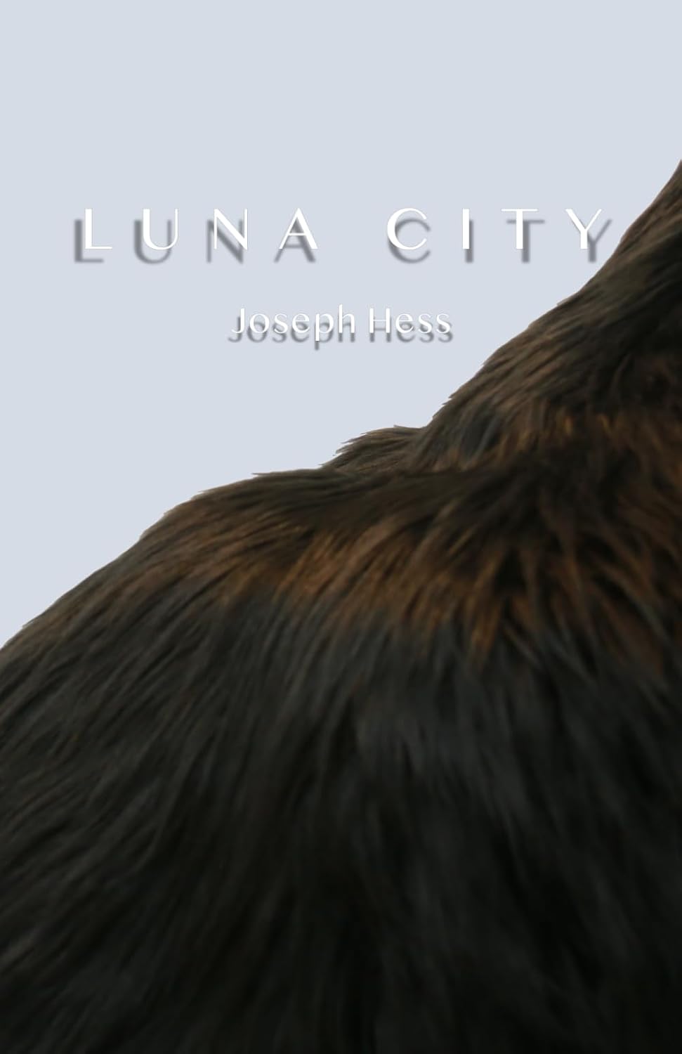Luna City poster