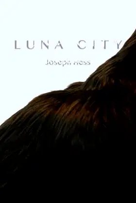 Luna City poster