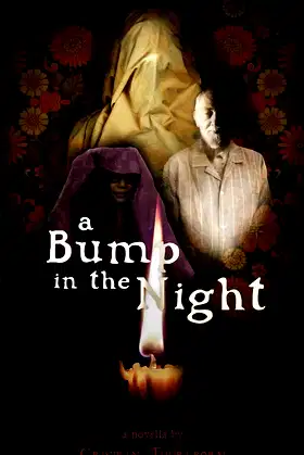 A Bump in the Night poster