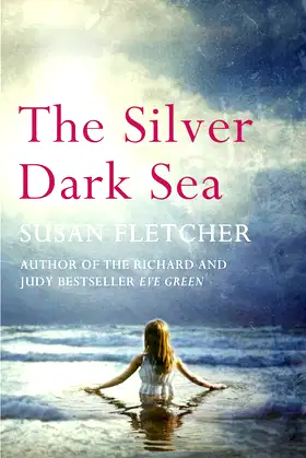 The Silver Dark Sea poster