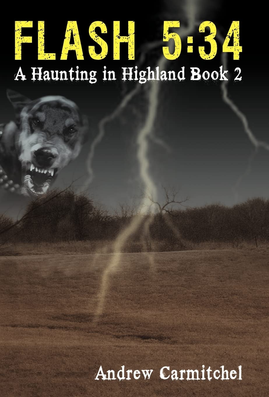 Flash 5: 34: A Haunting in Highland, Book 2 (A Haunting in Highland, 2) poster