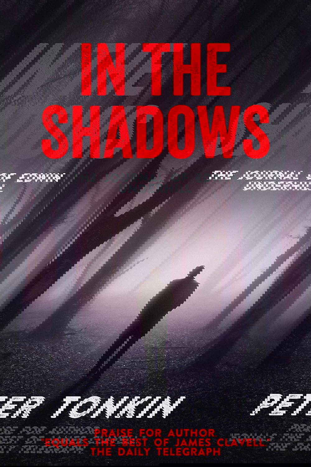 In the Shadows: The Journal of Edwin Underhill poster