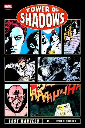 Lost Marvels No. 1: Tower of Shadows poster