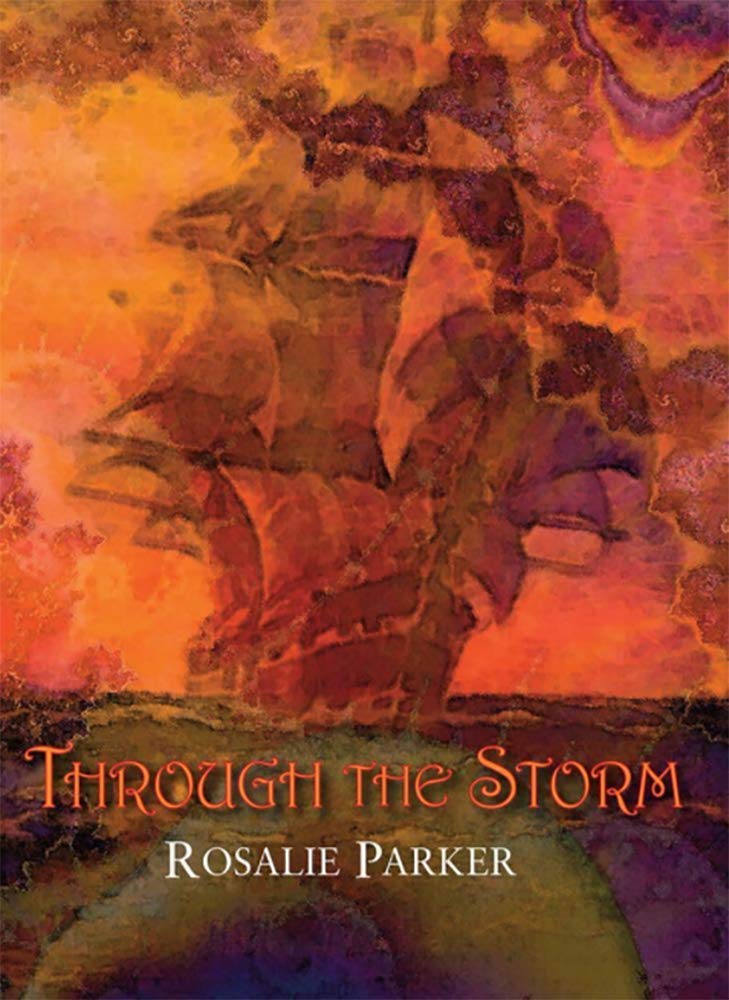 Through the Storm poster