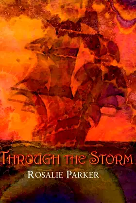 Through the Storm poster